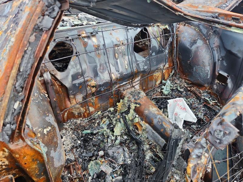 Продажа на аукционе авто 1979 Pontiac Firebird, vin: 2W87K9L186984, номер лота: 56430546