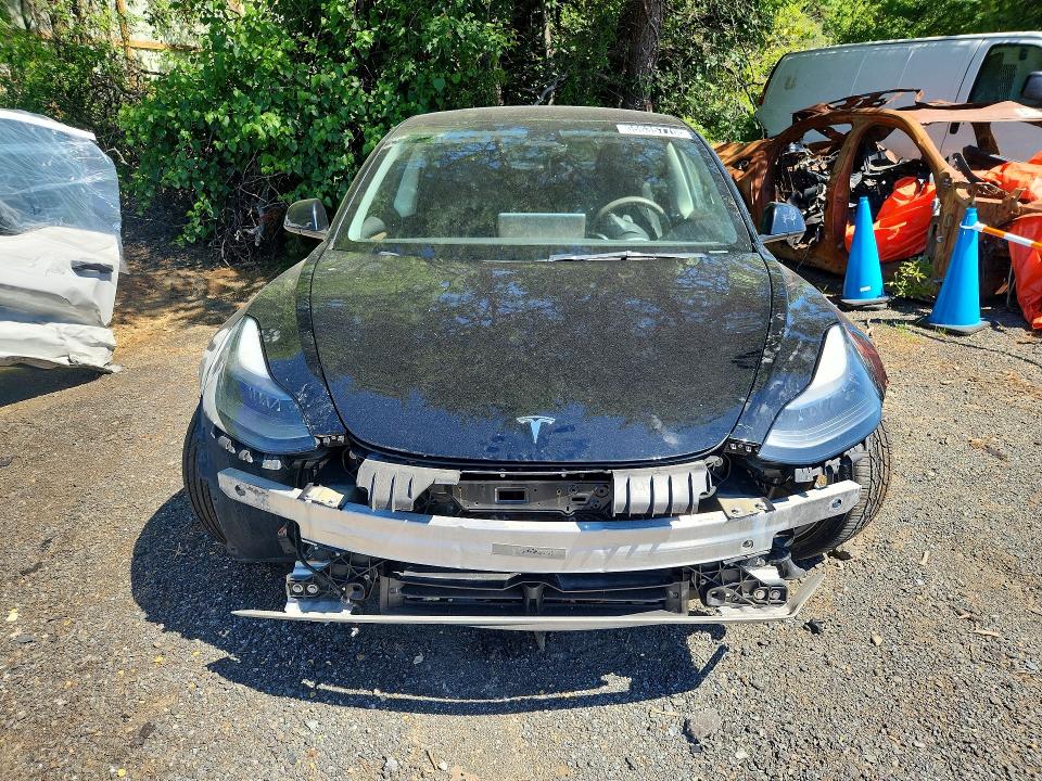 Продажа на аукционе авто 2023 Tesla Model 3, vin: 5YJ3E1EA1PF434946, номер лота: 55635776