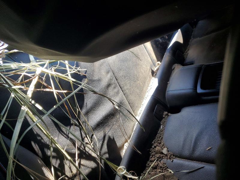 55917096 :رقم المزاد ، WBS2U7C00L7E38526 vin ، 2020 Bmw M2 مزاد بيع