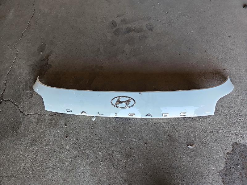 Продажа на аукционе авто 2024 Hyundai Palisade, vin: KM8R44GE4RU679082, номер лота: 59240896