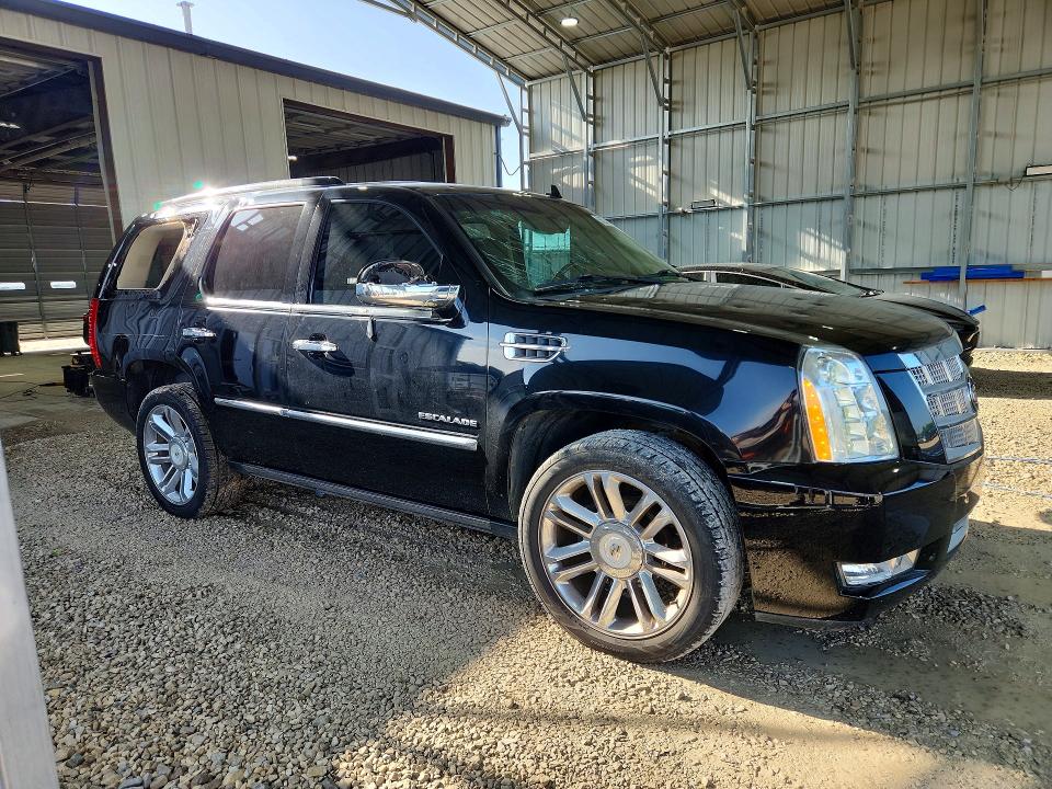 Продажа на аукционе авто 2010 Cadillac Escalade, vin: 1GYUKDEF6AR162139, номер лота: 56255926