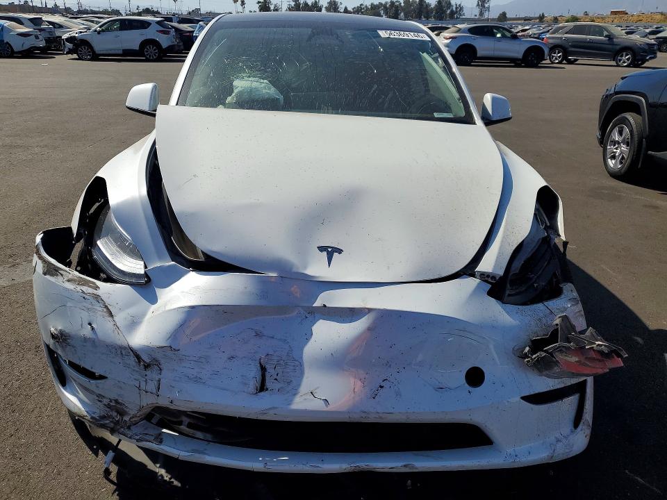 Продажа на аукционе авто 2024 Tesla Model Y, vin: 7SAYGDED9RF197687, номер лота: 56369146
