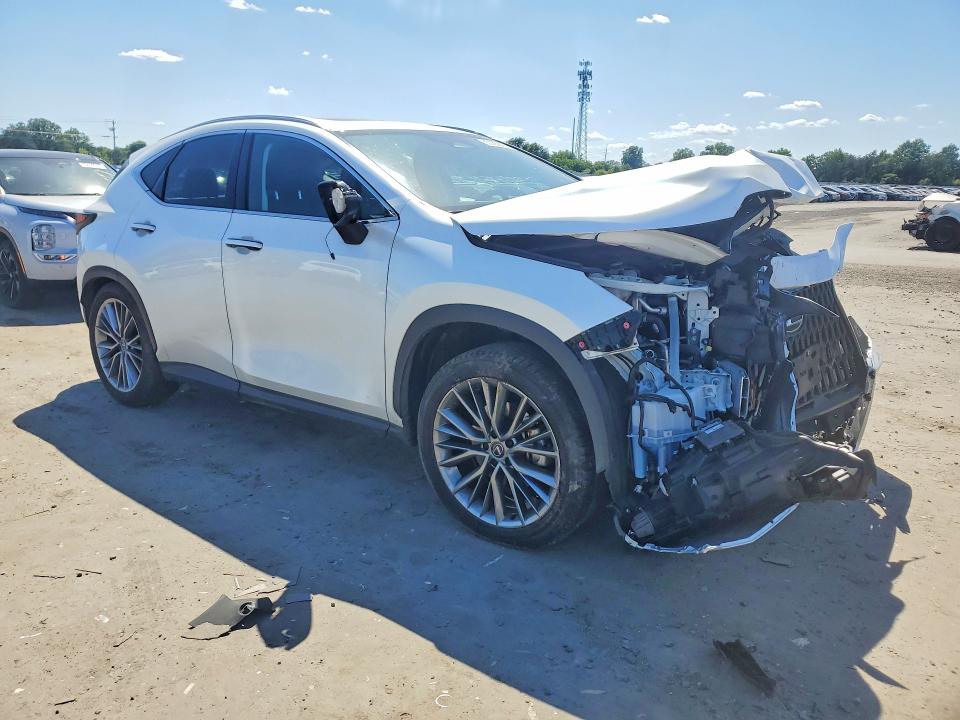 Продаж на аукціоні авто 2024 Lexus Nx 350h, vin: JTJHKCEZ8R2019027, номер лоту: 55935826