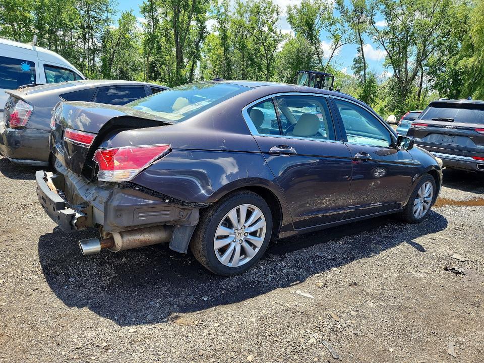 Продажа на аукционе авто 2011 Honda Accord, vin: 1HGCP2F85BA025220, номер лота: 57938446