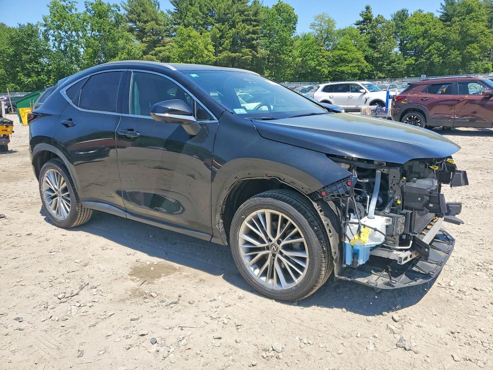 2024 Lexus Nx მანქანა იყიდება აუქციონზე, vin: 2T2HGCEZ1RC034812, აუქციონის ნომერი: 55207976