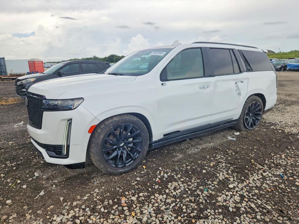 Auction sale of the 2023 Cadillac Escalade, vin: 1GYS3FKLXPR495589, lot number: 58952966