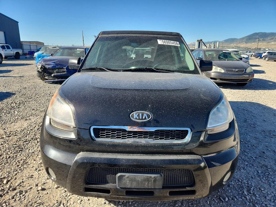 Auction sale of the 2011 Kia Soul, vin: KNDJT2A21B7234911, lot number: 56985456