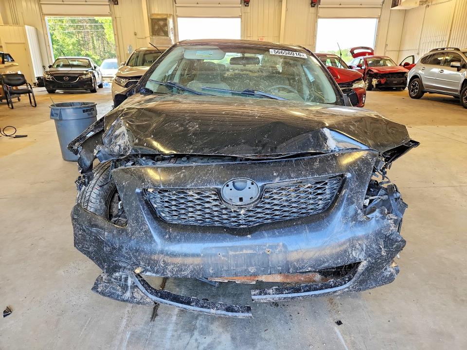 Продаж на аукціоні авто 2009 Toyota Corolla, vin: 1NXBU40E49Z042947, номер лоту: 56658016