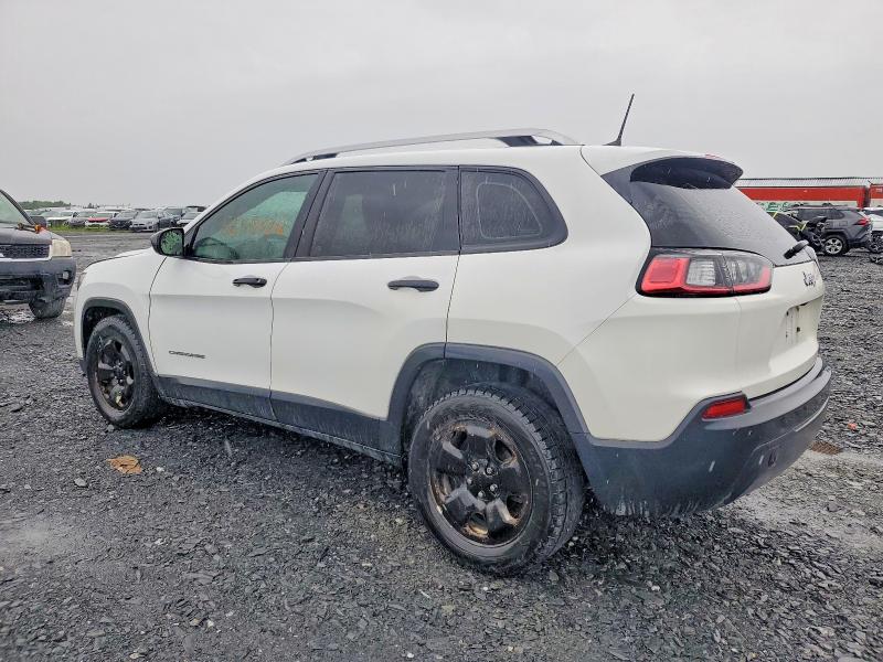 56574216 :رقم المزاد ، 1C4PJLAB4KD193486 vin ، 2019 Jeep Cherokee مزاد بيع
