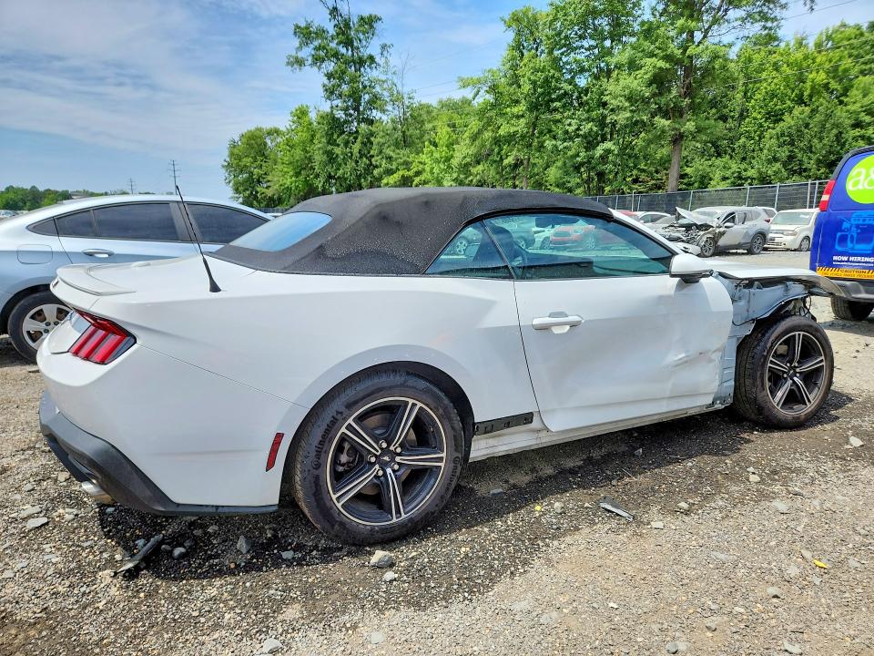 Продаж на аукціоні авто 2025 Ford Mustang, vin: 1FAGP8UH9S5127754, номер лоту: 56517796