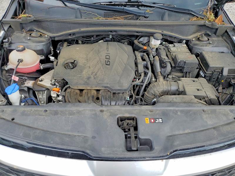 Продаж на аукціоні авто 2023 Kia Sportage, vin: 5XYK33AF4PG056872, номер лоту: 56746256