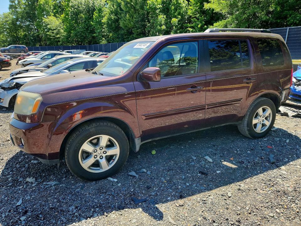 Продаж на аукціоні авто 2009 Honda Pilot, vin: 5FNYF48589B028068, номер лоту: 55982246