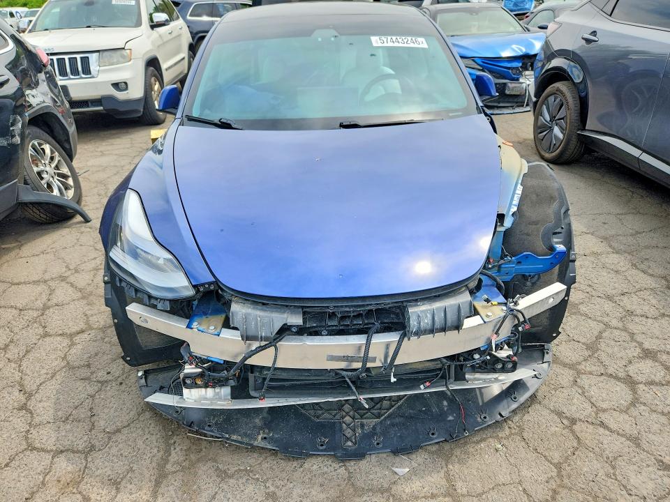 Продажа на аукционе авто 2021 Tesla Model 3, vin: 5YJ3E1EB5MF981335, номер лота: 57443246