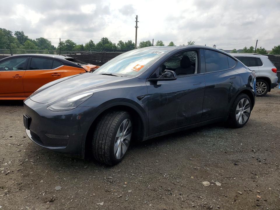 Продажа на аукционе авто 2024 Tesla Model Y, vin: 7SAYGDEE5RA241531, номер лота: 59170316