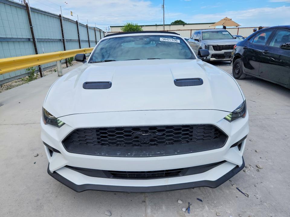 56427436 :رقم المزاد ، 1FATP8UH0K5191602 vin ، 2019 Ford Mustang مزاد بيع
