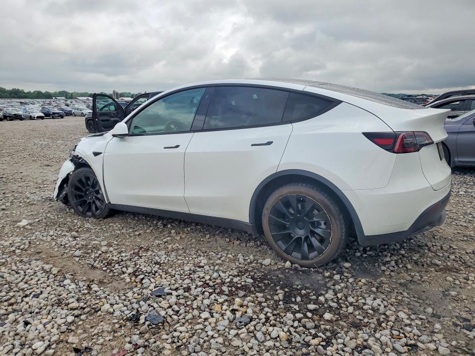 Продажа на аукционе авто 2021 Tesla Model Y, vin: 5YJYGDEE7MF190087, номер лота: 56501246