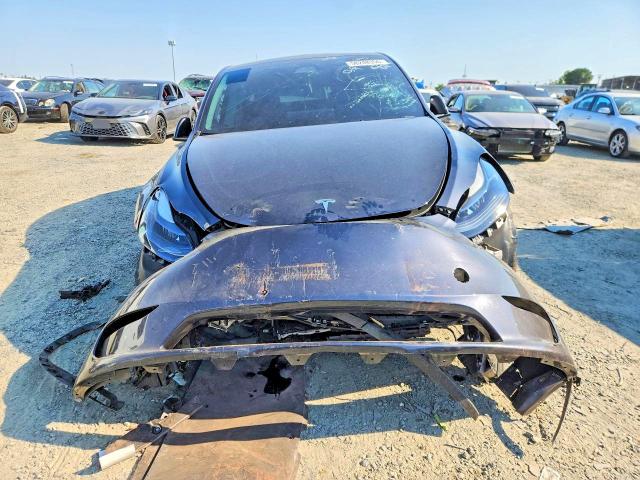 Продаж на аукціоні авто 2024 Tesla Model Y, vin: 7SAYGDEF6RF022203, номер лоту: 58248356