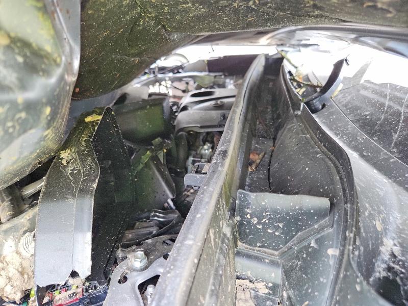 Aukcja sprzedaży 2025 Toyota Rav4, vin: 2T3W1RFV2SC303876, numer aukcji: 59176086