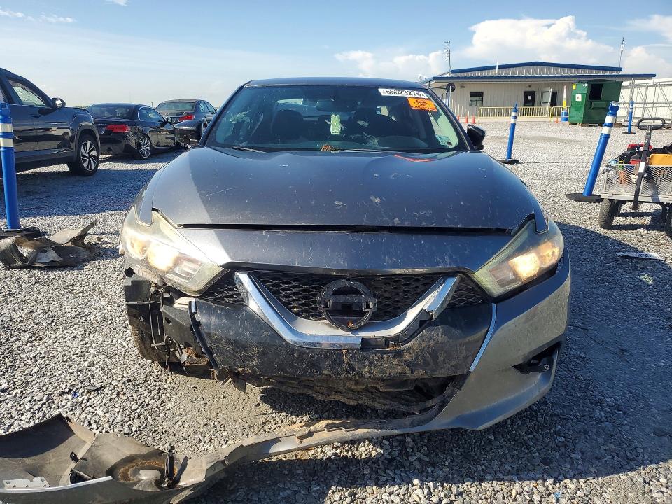 Продаж на аукціоні авто 2017 Nissan Maxima, vin: 1N4AA6AP0HC442583, номер лоту: 55623276