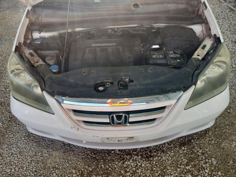 56137226 :رقم المزاد ، 5FNRL38635B424550 vin ، 2005 Honda Odyssey مزاد بيع