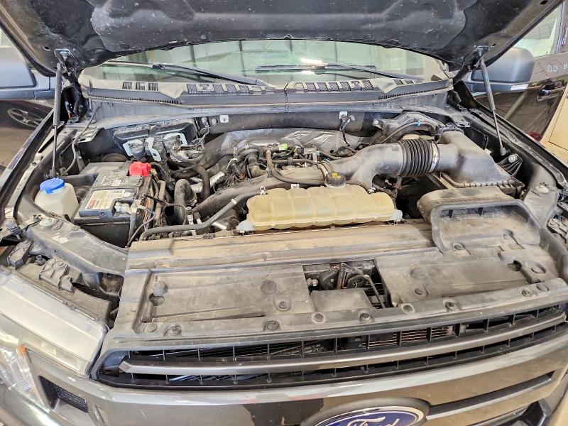 Auction sale of the 2020 Ford F150, vin: 1FTEW1EP9LFB72559, lot number: 58908436