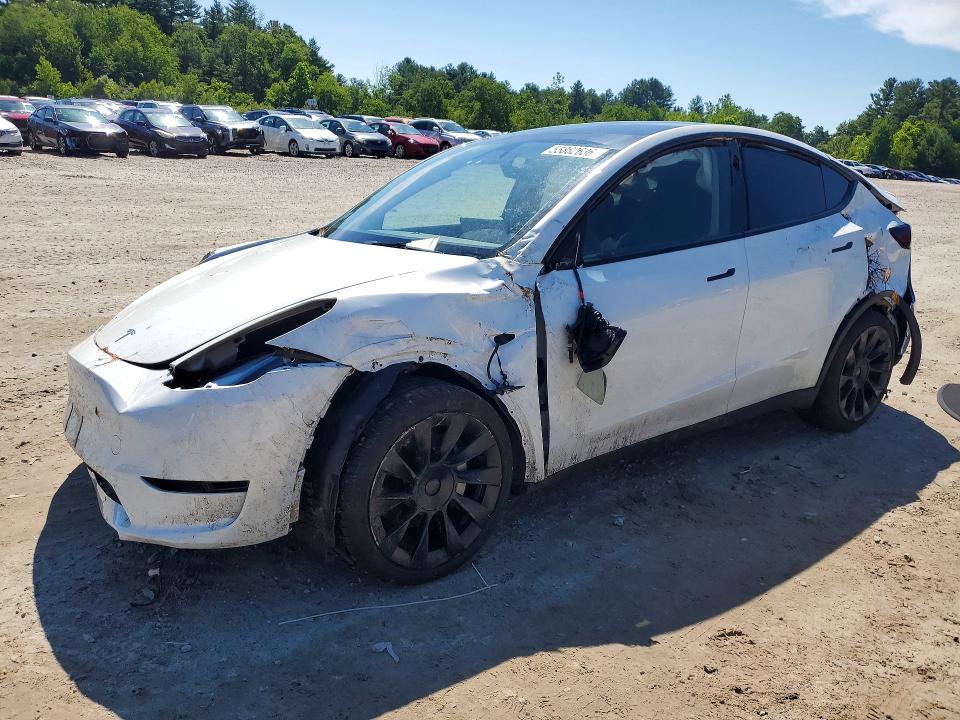 Продаж на аукціоні авто 2023 Tesla Model Y, vin: 7SAYGDEE2PF851533, номер лоту: 55862636