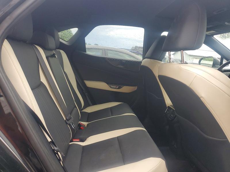 56777636 :رقم المزاد ، 2T2AKCEZ1NC005160 vin ، 2022 Lexus Nx مزاد بيع
