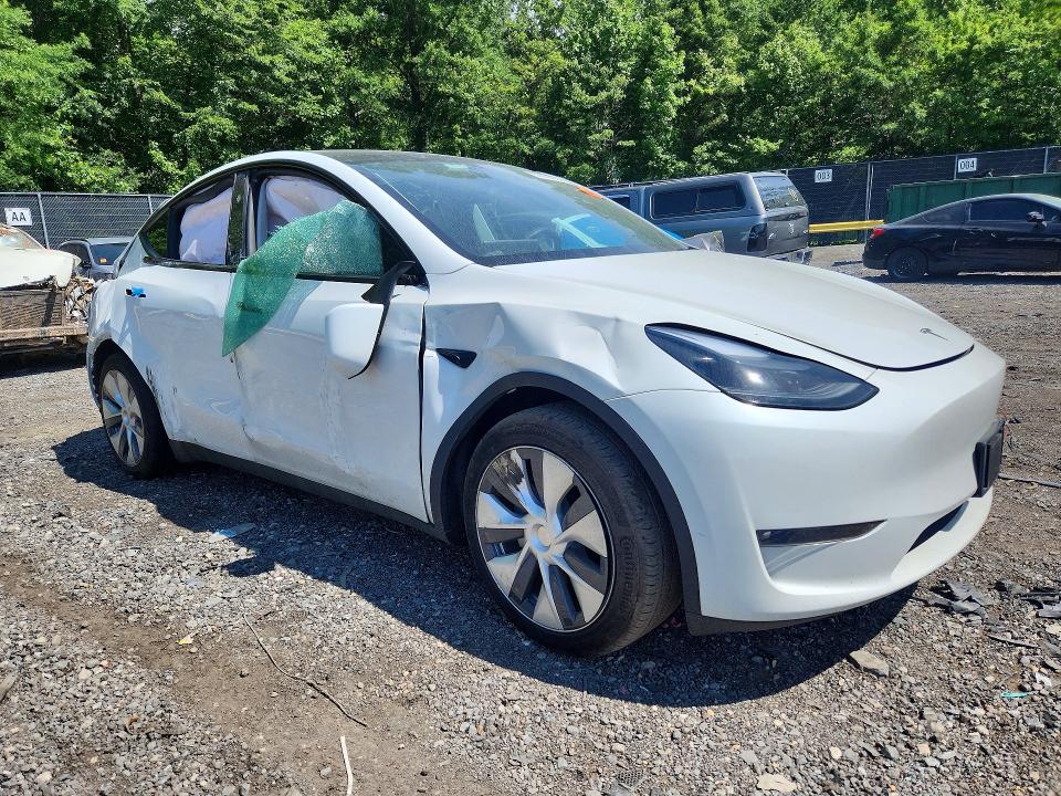 Продажа на аукционе авто 2024 Tesla Model Y, vin: 7SAYGAEEXRF994926, номер лота: 55603206