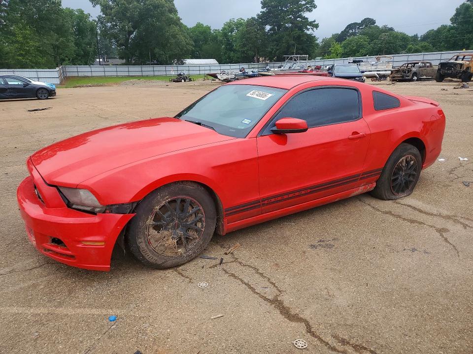 Продаж на аукціоні авто 2013 Ford Mustang, vin: 1ZVBP8AM3D5239567, номер лоту: 56746806