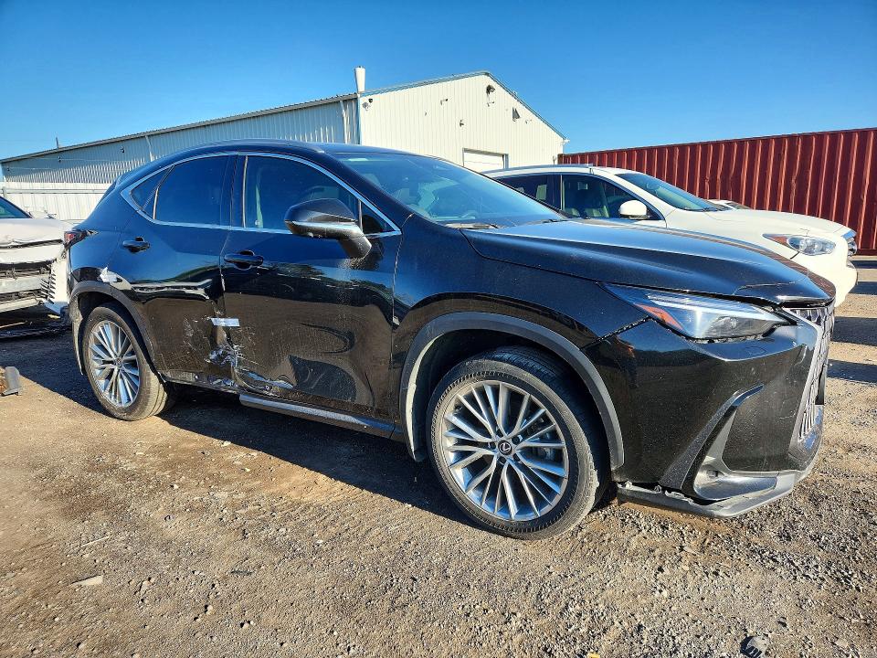 Продажа на аукционе авто 2025 Lexus Nx, vin: 2T2GGCEZ1SC063860, номер лота: 55956786