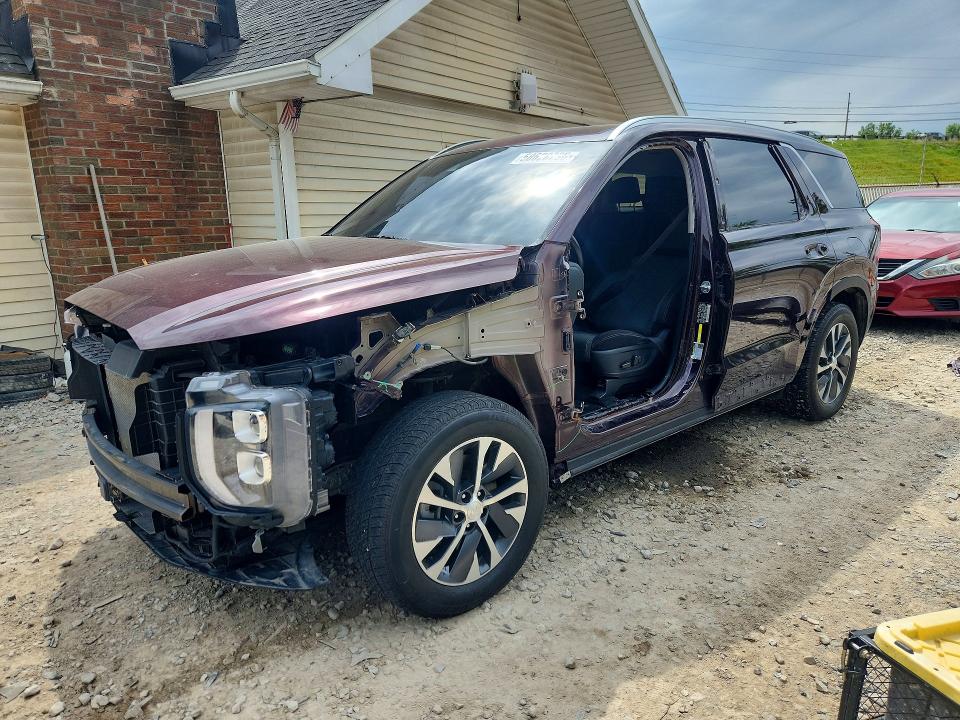Auction sale of the 2020 Hyundai Palisade, vin: KM8R2DHEXLU152286, lot number: 58628736