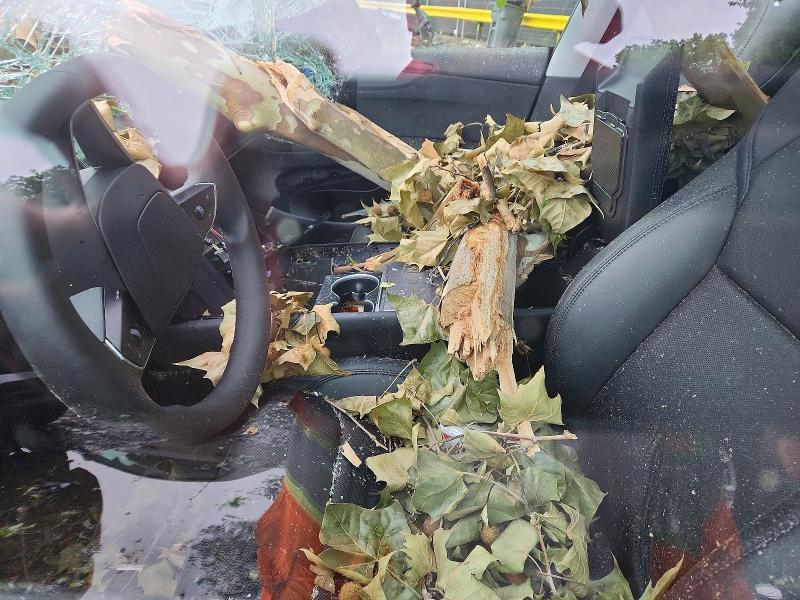 Aukcja sprzedaży 2026 Tesla Model Y, vin: 7SAYGDEE6TF399452, numer aukcji: 58517616