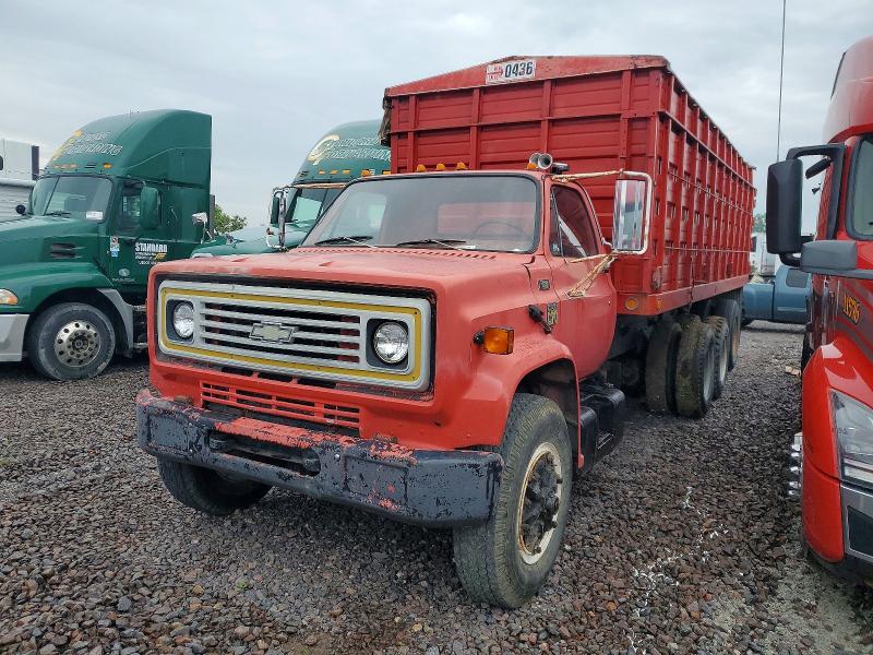Продаж на аукціоні авто 1979 Chevrolet Truck, vin: C47DE9V166796, номер лоту: 58578696