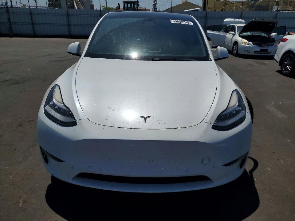 55659246 :رقم المزاد ، 5YJYGDEE9MF157124 vin ، 2021 Tesla Model Y مزاد بيع