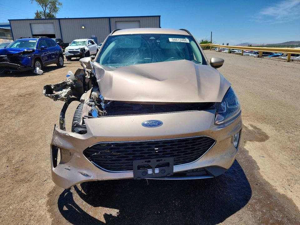 Продаж на аукціоні авто 2021 Ford Escape, vin: 1FMCU0H68MUB05079, номер лоту: 56613486