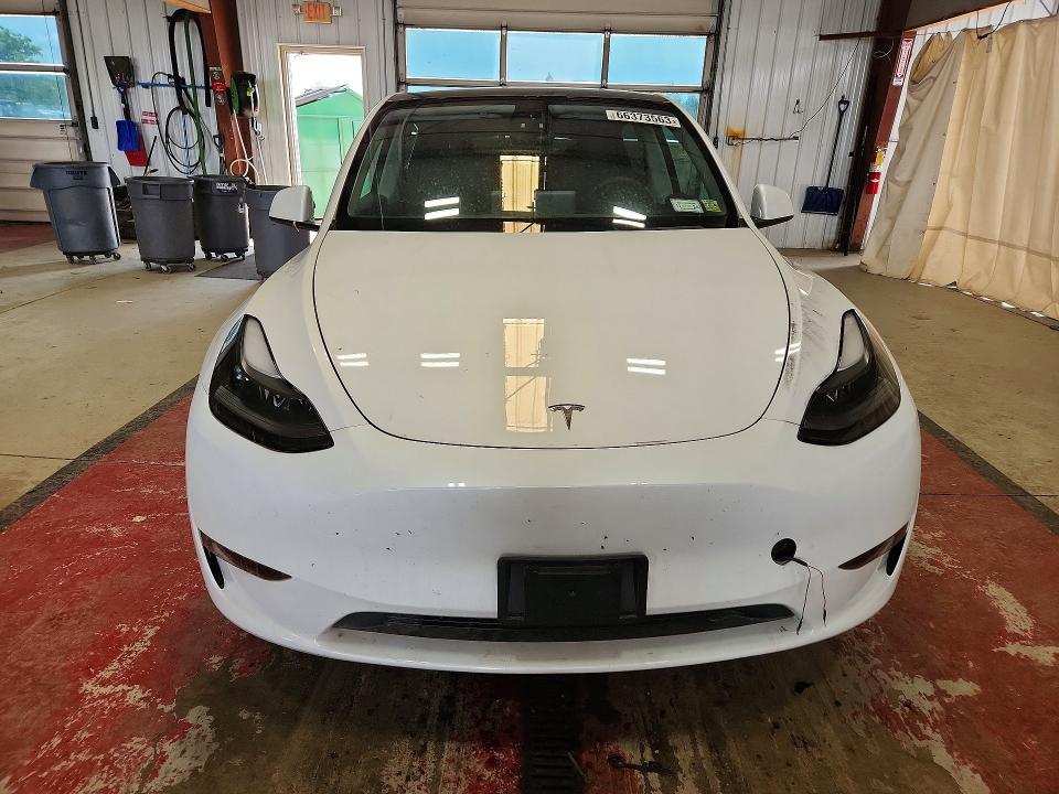 Продажа на аукционе авто 2023 Tesla Model Y, vin: 7SAYGDEE7PF606971, номер лота: 66373563