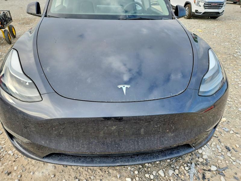 Aukcja sprzedaży 2024 Tesla Model Y, vin: 7SAYGDEE0RA261119, numer aukcji: 59000216