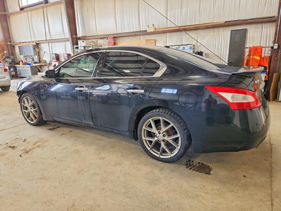 2011 Nissan Maxima მანქანა იყიდება აუქციონზე, vin: 1N4AA5AP0BC818832, აუქციონის ნომერი: 57445706