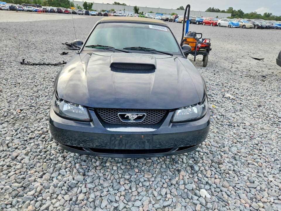 56058466 :رقم المزاد ، 1FAFP44463F434862 vin ، 2003 Ford Mustang مزاد بيع