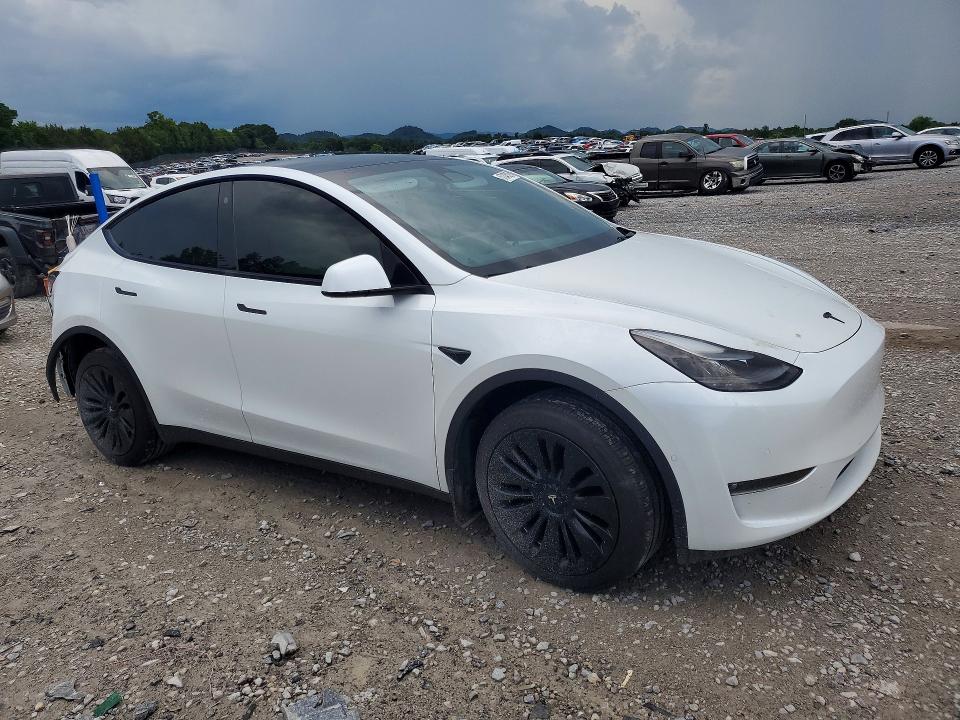 Продаж на аукціоні авто 2022 Tesla Model Y, vin: 7SAYGDEE0NF535884, номер лоту: 57246326