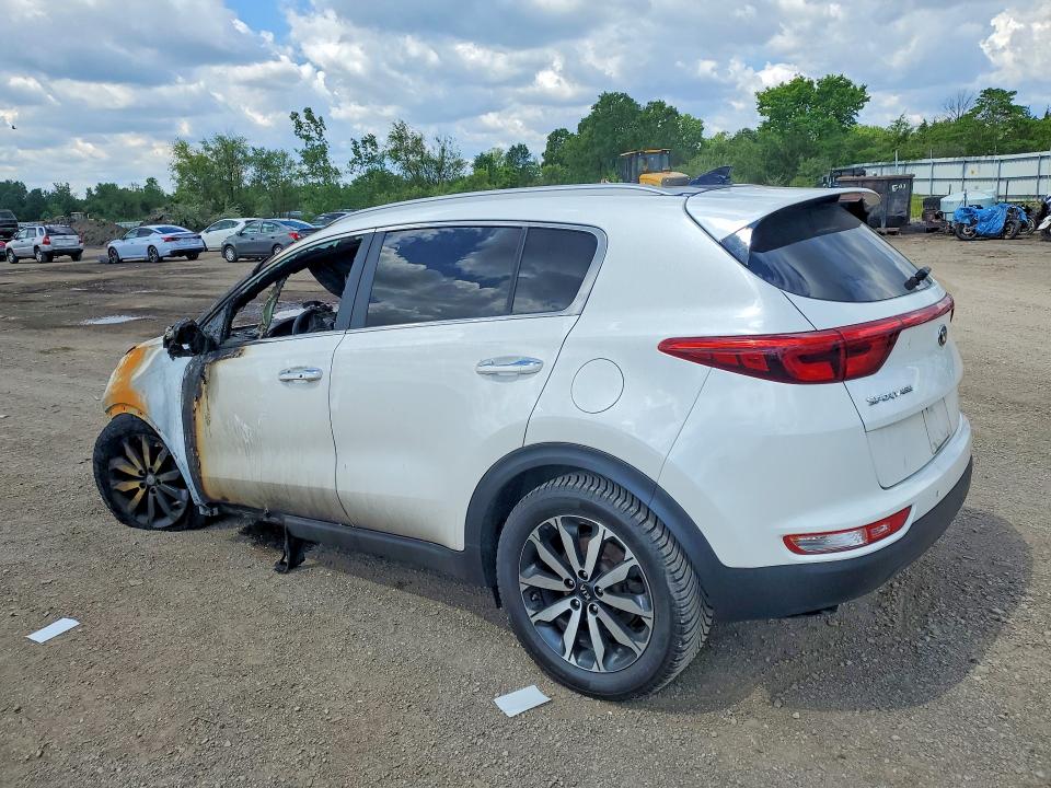Продаж на аукціоні авто 2017 Kia Sportage, vin: KNDPNCAC1H7256936, номер лоту: 58229906