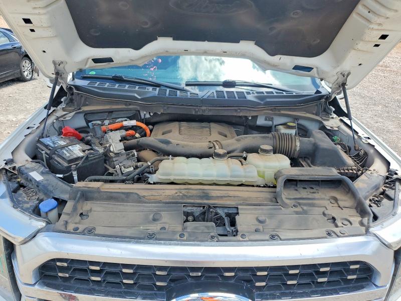 2021 Ford F150 მანქანა იყიდება აუქციონზე, vin: 1FTFW1ED8MFC00475, აუქციონის ნომერი: 56531596