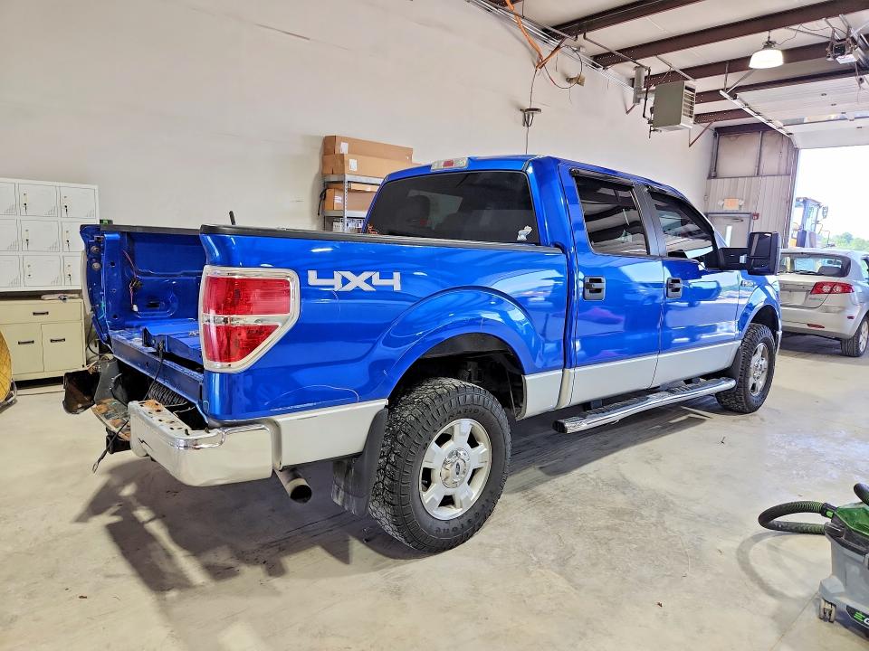 58874246 :رقم المزاد ، 1FTFW1EF7DFD08006 vin ، 2013 Ford F150 مزاد بيع