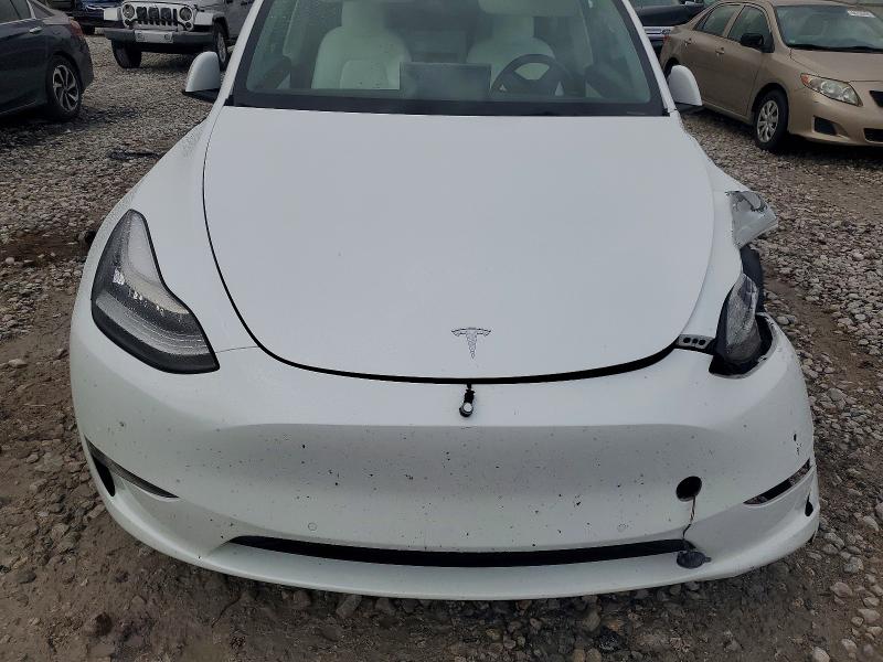 Продажа на аукционе авто 2021 Tesla Model Y, vin: 5YJYGDEE7MF190087, номер лота: 56501246