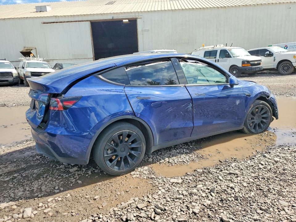 Продаж на аукціоні авто 2021 Tesla Model Y, vin: 5YJYGDEE3MF266226, номер лоту: 55841966