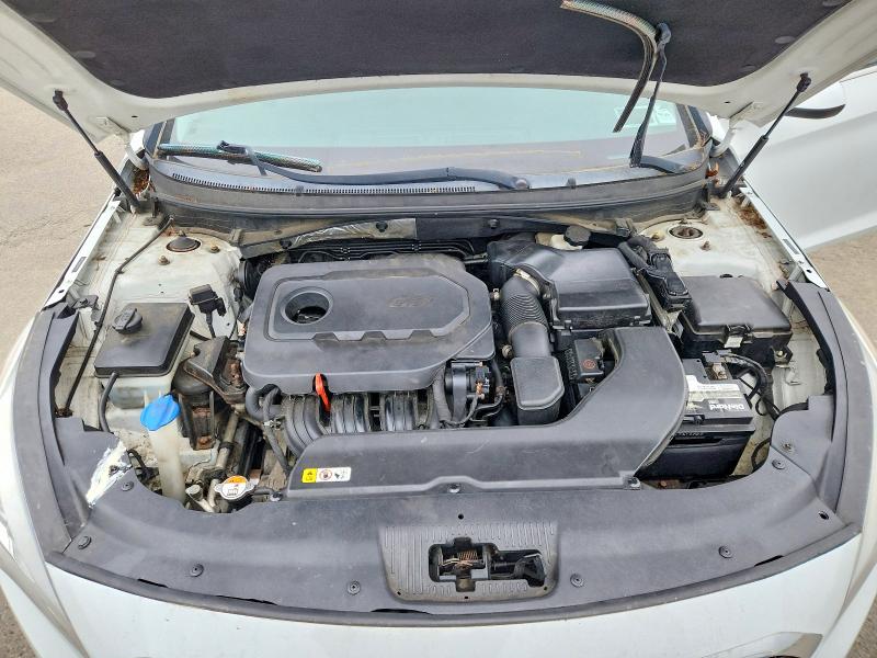 2016 Hyundai Sonata მანქანა იყიდება აუქციონზე, vin: 5NPE24AF0GH344077, აუქციონის ნომერი: 57270506