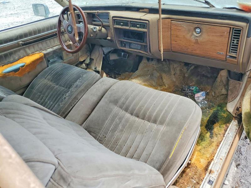 56820266 :رقم المزاد ، 1G6AD479XB9209963 vin ، 1981 Cadillac Deville مزاد بيع