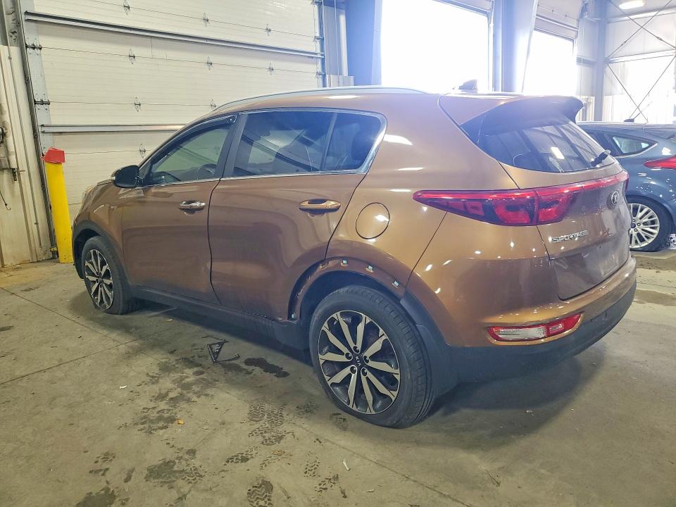 Продаж на аукціоні авто 2017 Kia Sportage, vin: KNDPNCAC6H7167606, номер лоту: 55882666