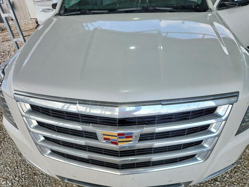 Продажа на аукционе авто 2019 Cadillac Escalade, vin: 1GYS4CKJ7KR145002, номер лота: 56345506