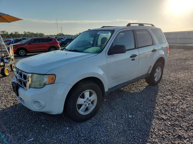 58520916 :رقم المزاد ، 1FMCU0DG3AKC93905 vin ، 2010 Ford Escape مزاد بيع